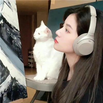 子夜归 在线观看