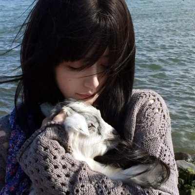 进击巨人大战无敌猛鲨 在线观看